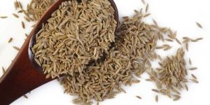 Organic Cumin Seeds