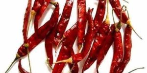 S-273 Wrinkle Dry Red Chili