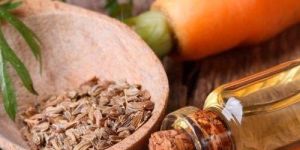 Carrot Seed Oil