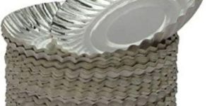 Silver Paper Plates