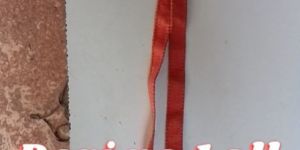 ID Card Color Dori