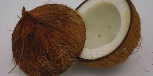 Fresh Coconut