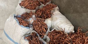 Copper Pipe Scrap