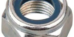 Titanium GR 2 Nylock Nut
