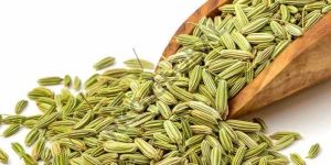 Fennel Seeds