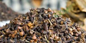 Dried Clove Seed