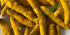 Turmeric Finger