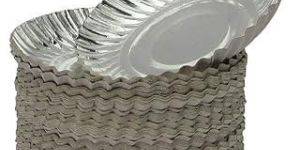 Silver Paper Plates