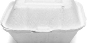 450 Ml Bagasse Burger Box