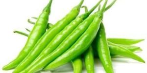 Fresh Indian Green Chilli