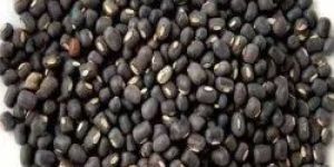 Black Whole Urad Dal