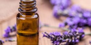 Lavender Oil