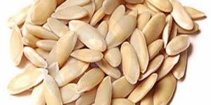 Cucumber Seeds