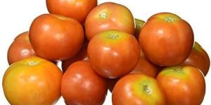 Fresh Natural Tomato