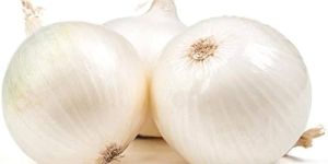 Fresh White Onion