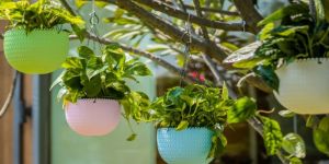 Multicolor Round Hanging Flower Pot