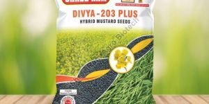 Divya 203 Plus Hybrid Mustard Seed