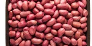 Organic Red Peanut Kernel