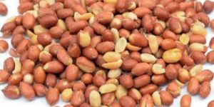 Redskin Salted Peanut