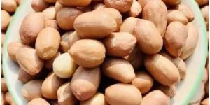 Salted Peanut Kernel