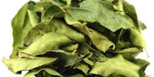 Dry Curry Leaves