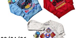 Boys Cotton Hoodie