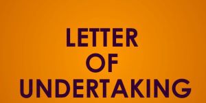 Letter of Undertaking (LUT) Registration Service