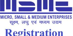 Msme Registration Service