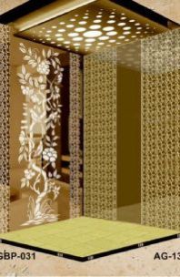 Alex Hospital Elevator