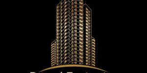 Real Estate Construction Developer