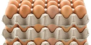 Grey Paper Pulp Egg Tray