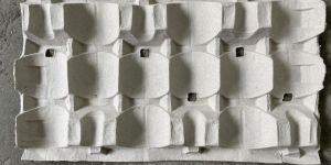 Paper Pulp Moulded Packaging Tray