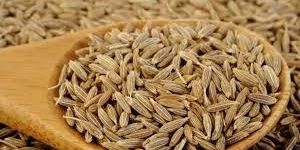Cumin Seeds