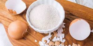 Dried Egg Shell Powder