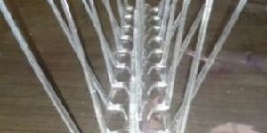 Anti Bird Spikes