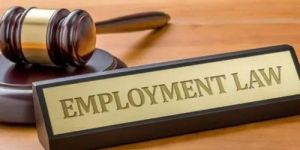 Employment Law Services