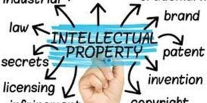 Intellectual Property Services