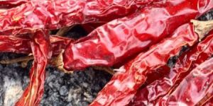 Red Chilli
