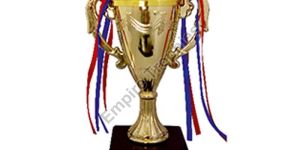 Winners Plastic Trophy Cup