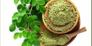 Moringa Leaves Powder