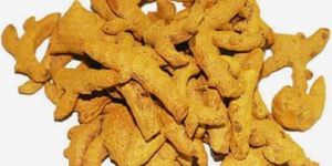 Dried Turmeric Finger