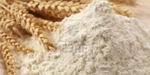 Refined Wheat Flour