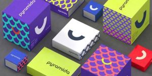 Printed Duplex Corrugated Box