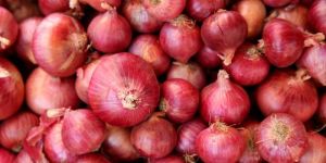 Red Onion