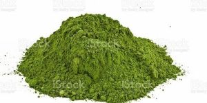 Organic Barley Grass Powder