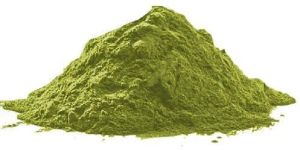 Organic Moringa Leaves Powder
