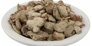 Kapoor Kachri Zedoary Roots