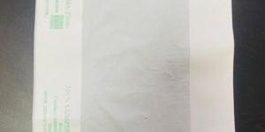 Compostable Grocery Bags