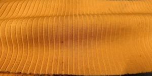 Polyester Rib Knit Fabrics