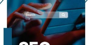 Seo Services in Jaipur